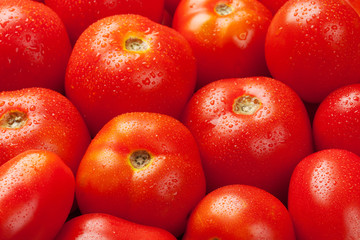 Red tomatoes