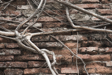 Brick wall background