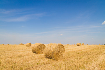 Fototapeta na wymiar sheaf of hay on the field