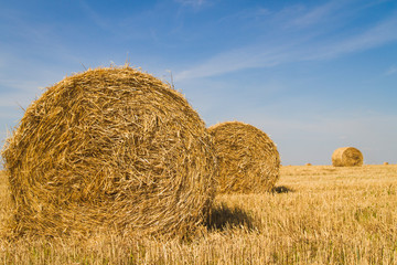 sheaf of hay on the field