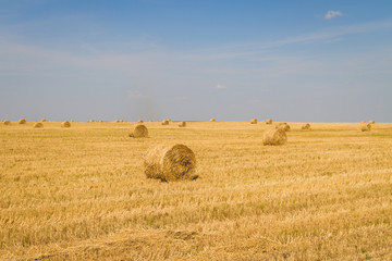 Fototapeta na wymiar sheaf of hay on the field