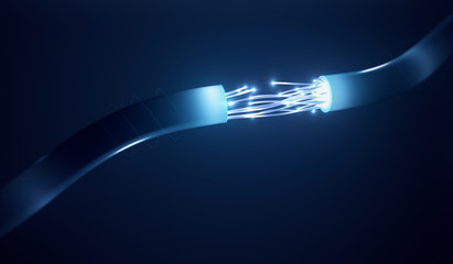 Cable Fibre Connection - obrazy, fototapety, plakaty