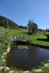 Fototapeta premium laghetto in giardino stagno 