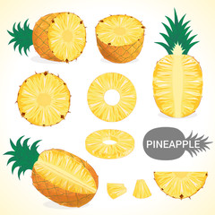 Set of pineapple fruit in various styles vector format