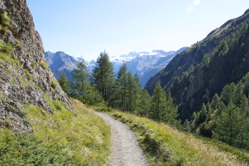 Naklejka premium Parco nazionale Gran Paradiso