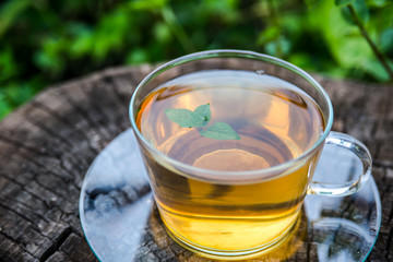 Cup of tea with mint, close-up, selective focus