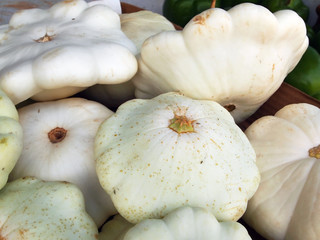 Pattypan Squash