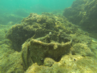 snorkerilng in the seas of Sicily