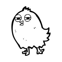 funny cartoon bird