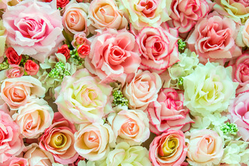 Soft Color roses for background , backdrops , patterns and etc.