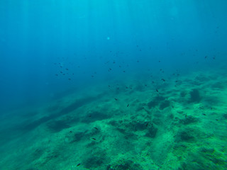 Fototapeta na wymiar snorkerilng in the seas of Sicily