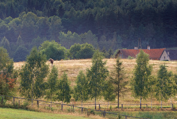 Sielankowa Wieś