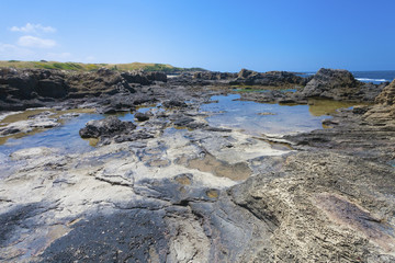 Volcanogenic rock slab on the seashore