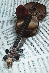 Fototapeta na wymiar old violin with musical notes and rose