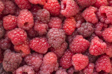 Raspberry