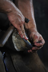 Farrier shoeing a horse hoof