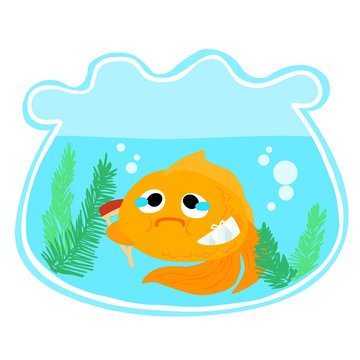 goldfish injury in the bowl vector illustration
