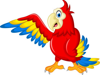 Macaw bird cartoon open wings for you design