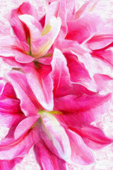  pink lilies bouquet background, oil painting