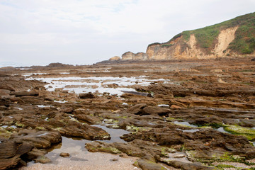 Nice seascape at low tide