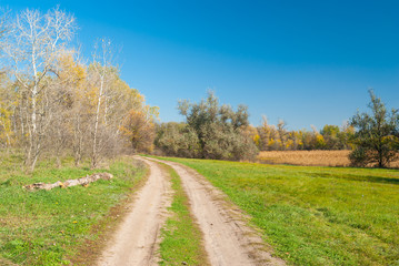 Fototapeta na wymiar Fall landscape in central Ukraine near Dnepropetrovsk city