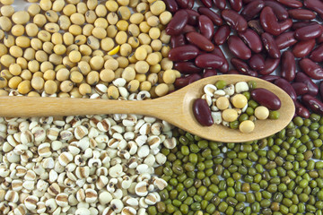 Beans in spoon with background of pearl barley, green mung beans, red beans, soybeans.