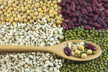 Beans in spoon with background of pearl barley, green mung beans, red beans, soybeans.