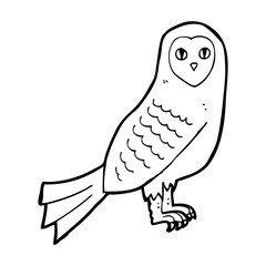Fototapeta premium cartoon owl