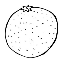 cartoon orange