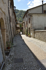 Scheggino