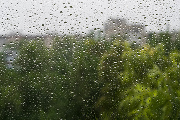 Raindrops on a window pane. Summer day. In the background buildings and trees
