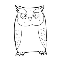 cartoon owl