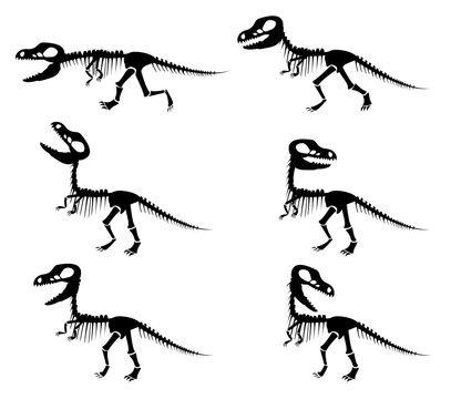 silhouettes of the skeleton of a Tyrannosaurus rex