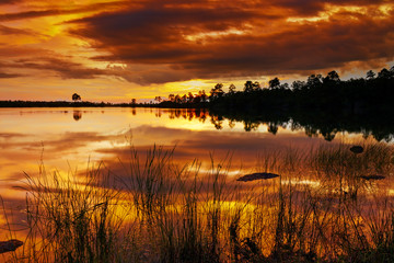 Sunset Pine Glades Lake 3. Everglades National park, Florida