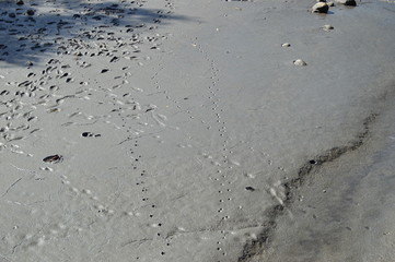 Caminando por el barro