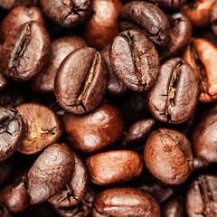 Brown coffee beans, close up of coffee beans for background and