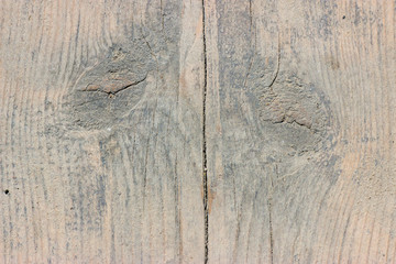 Текстура дерева © noregr