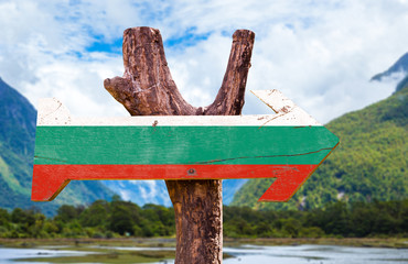 Naklejka premium Bulgaria Flag wooden sign with landscape on background