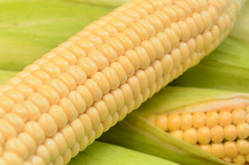 Fresh ripe corn cob between green leaves © alenamozhjer