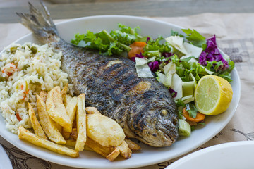 Sea bream with potato, rice and salad
