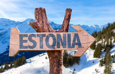 Estonia wooden sign with winter background