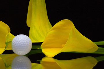 Yellow calla lily and golf ball on a black glass plate