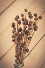 dry grass flower on wood background