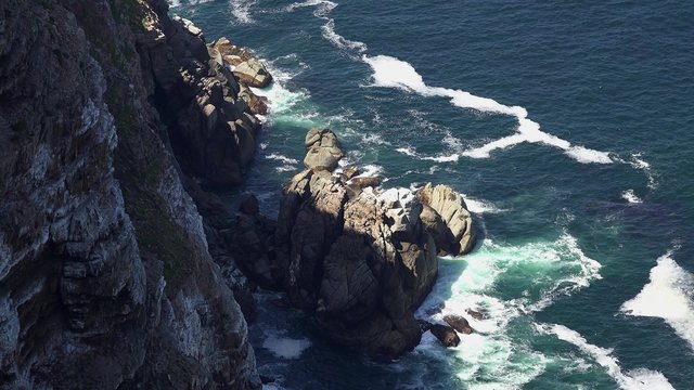 Cliff Coast with breaking waves (at Cape Point, South Africa)