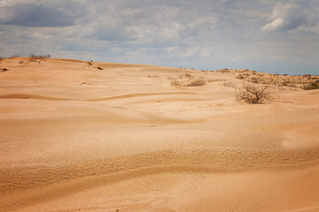 Fototapeta na wymiar Desert under a blue sky with clouds