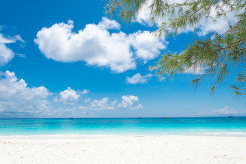 Fototapeta na wymiar blue sky with beach sea and leaf