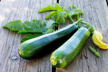 Harvest of fresh zucchini on the wooden background