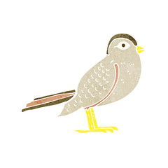 cartoon garden bird