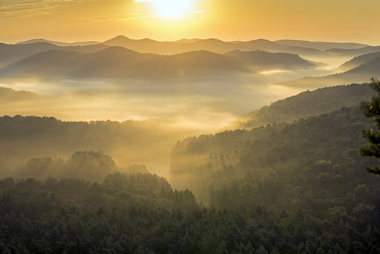 Fototapeta Morgensonne über dem Pfälzerwald