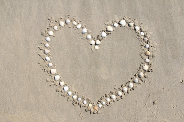 heart